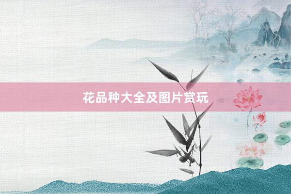 花品种大全及图片赏玩