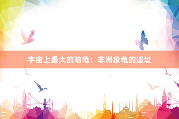 宇宙上最大的陆龟：非洲象龟的遗址