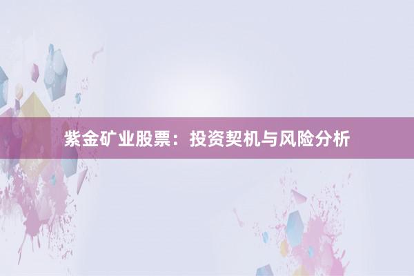紫金矿业股票：投资契机与风险分析